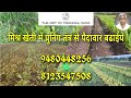 How to get more yeild in agriculture by pruning technique in hindipruning techniquesuresh desai