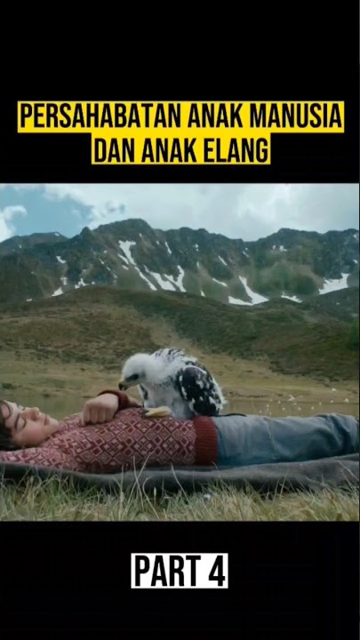 BAYI ELANG DI ADOPSI OLEH BOCIL FF #alurceritafilm #film