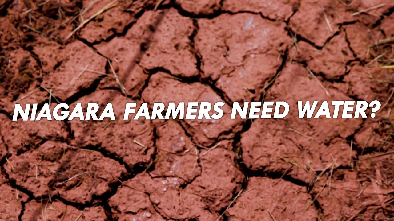 Niagara Farmers Need Water?