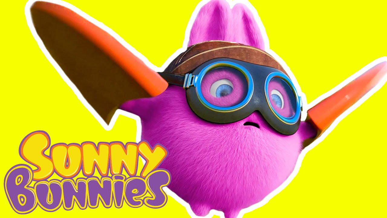 Cartoon ☆ Sunny Bunnies - BRAVE PILOT ☆ Funny Videos For Kids - YouTube