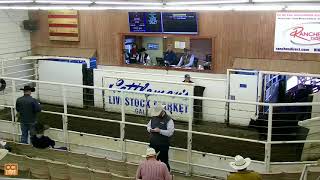 Cattlemen s Livestock Market Annual Replacement Female Sale and 57th World of Bulls Sale Galt CA