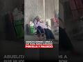 Abuelita esperó por 3 años a sus hijos. Nunca llegaron por ella y falleció.