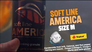 Soft Line America from Tropical screenshot 4