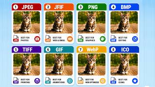 Every File Format Battle – JPEG vs PNG vs WebP vs GIF