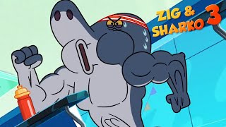 Zig & Sharko 💥 SEASON 3 🔥 SUPER SHARKO (S03E27)  Full Episodes in HD