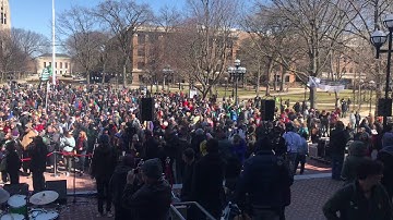 Ann Arbor Hash Bash 2018 View of Crowd