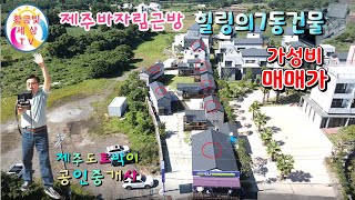 제주힐링의숲세권 비자림근방 7동건물매물 가성비매매가#평대리주택