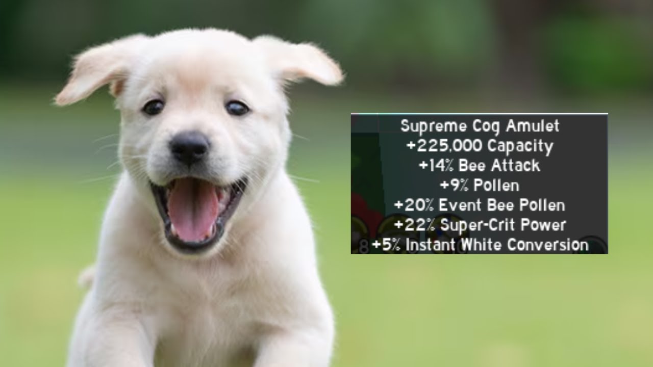 a SWINGGG and a MISS