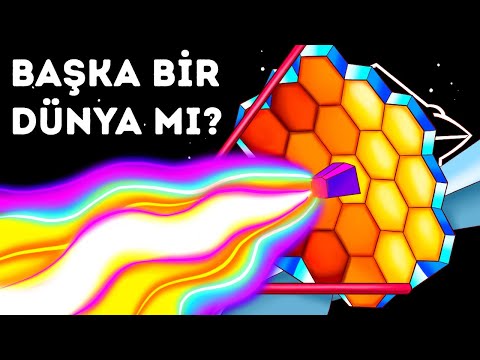 Video: Speedwell'i hangi herbisit öldürür?