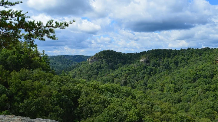 Hidden Trails of Red River Gorge: Tarr Ridge East