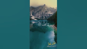 رب هب لي حكما #سورة_الشعراء #القرآن_الكريم #فارس_عباد #اكسبلور #راحة_نفسية #لايك #تلاوة_خاشعة #تلاوة