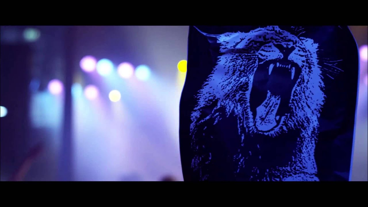 Martin Garrix - animals (Official Video).