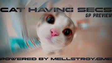 CAT HAVING SECS - FULL GP PREVIEW