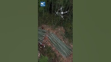 Drones lift bamboo out of mountains in China