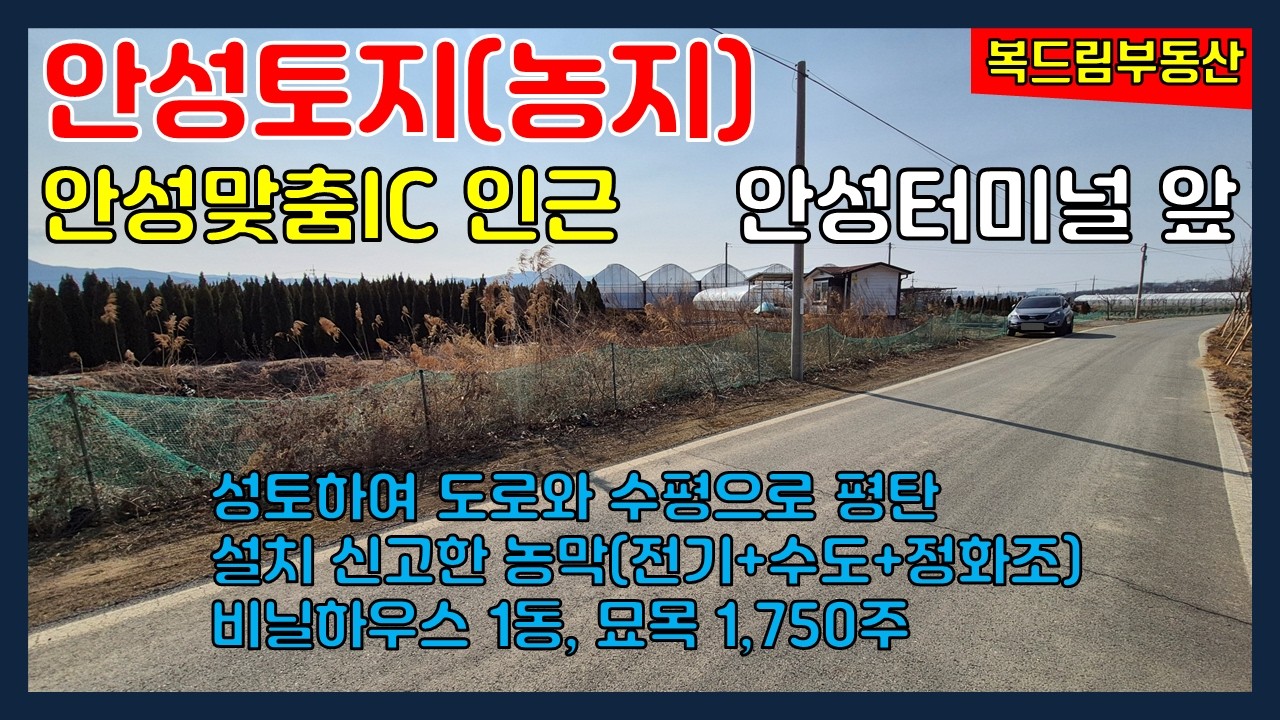 안성토지 안성농지 안성종합버스터미널 앞 안성맞춤IC 인근 토지 농지, 성토하여 평탄, 전기, 수도, 정화조 설치된 농막, 하우스, 묘목 1,750주 식재