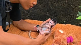 POOR BABY MONKEY ROBYN, I LEFT HIM TO THE DOCTOR TODAY.