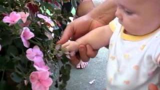 Daddy Showing Maggie The World, Part Ii