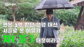 (살어리랏다)(273회) 연봉 1억 은행원이 하필 정읍으로 간 이유가 차(茶) 때문이라고? koreatv, teahouse, culture (전북 정읍)