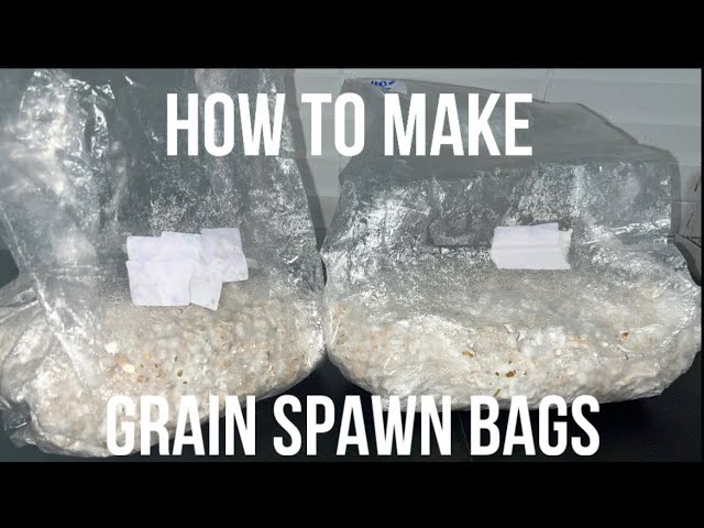 Three Grain Spawn Bags for Pressure Cooking