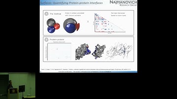 Fast, high-performance biophysics-based computational... - Rafael Najmanovich - Function - ISMB 2024