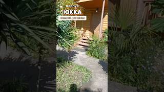 Корпус Юкка / Гостевой дом "Сария" #абхазия #алахадзы #сария