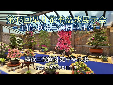 全国皐月花季大陳列展 写真帖 '76年回〜　12冊セット BONSAI 全国皐月花季大陳列展 写真帖 '76年回〜 12冊セット BONSAI