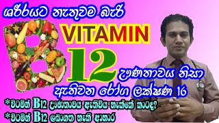 විටමින් B12 ඌණතාවය නිසා ඇතිවන රෝග ලක්ෂණ 16|16 symptoms of vitamin B12 deficency|Medicine for Life