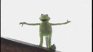 Kermit The Frog Drinks The Potion
