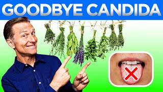 Say Goodbye to Candida: The Best Ways to Cure It Permanently