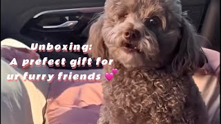 Unboxing: 💕 A Perfect Gift for Ur Puppy-Bear Ears car Bed!