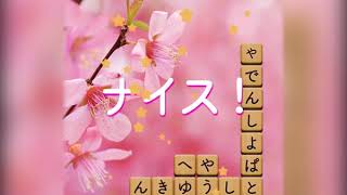 ADS 151 1000×800版