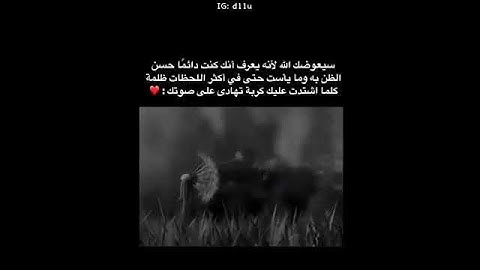 الله لطيف بعباده🌸قران كريم 💙#راحة-نفسية