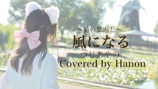 映画「猫の恩返し」風になる／つじあやの【Covered by Hanon】