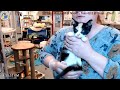 Kitty updates plus 4 new kittens 2023-04-08 -- Friends of Felines Rescue Center (FFRC)