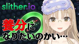 【🔴Slither.io】養分になりたい・・・?【にじさんじ/シスター・クレア】