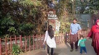 Tiger ? in zoo in Mumbai, please Subscribe like ??❤️ video viral