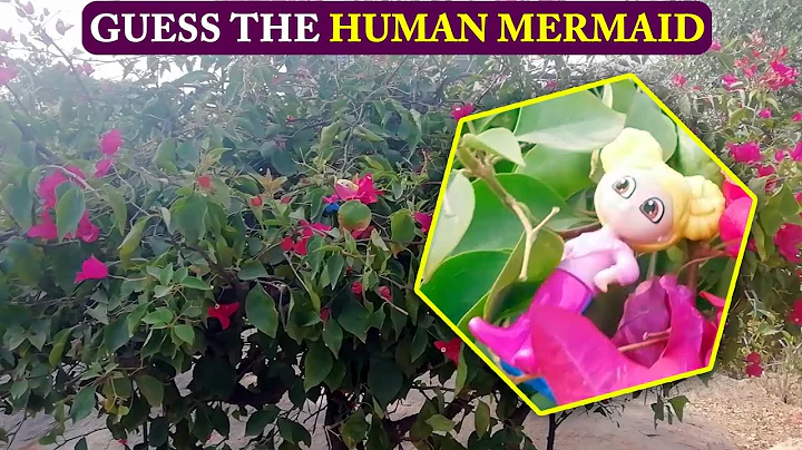 Guess The Hidden HUMAN MERMAID Hidden Animals Optical Illusions Genius Brain Teasers Most FAIL Brain