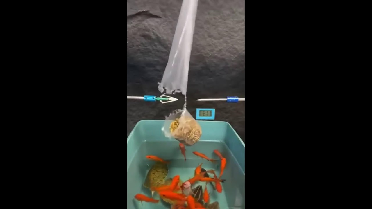 СТРИМ ШОРТС ИГРАЕМ