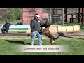 K9 Dogs Training - Teaching a bark on person