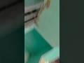 #lipsing video,  #lipsing song, #lipsing reel, #lipsing short video #lipsing songs reels #shortsfeed