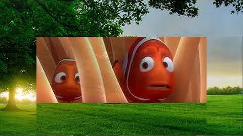 Finding Nemo: Part 1.