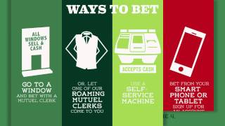 Basics of BETology - How to Place a Bet