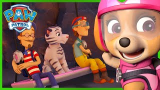 ¡Los cachorros de rescate máximo salvan a los Turbot y a los tigres de un volcán! PAW Patrol Español