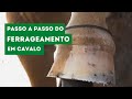 Ferrageamento em cavalo