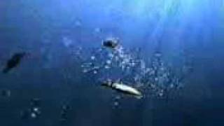 Global Television Network - \