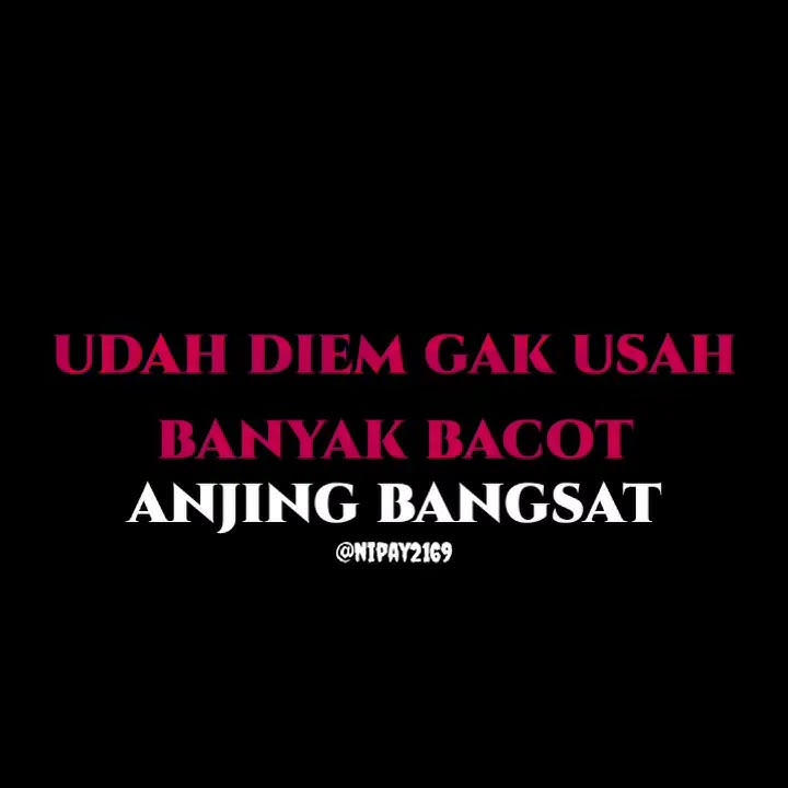 Story wa musik dj jungle ducth