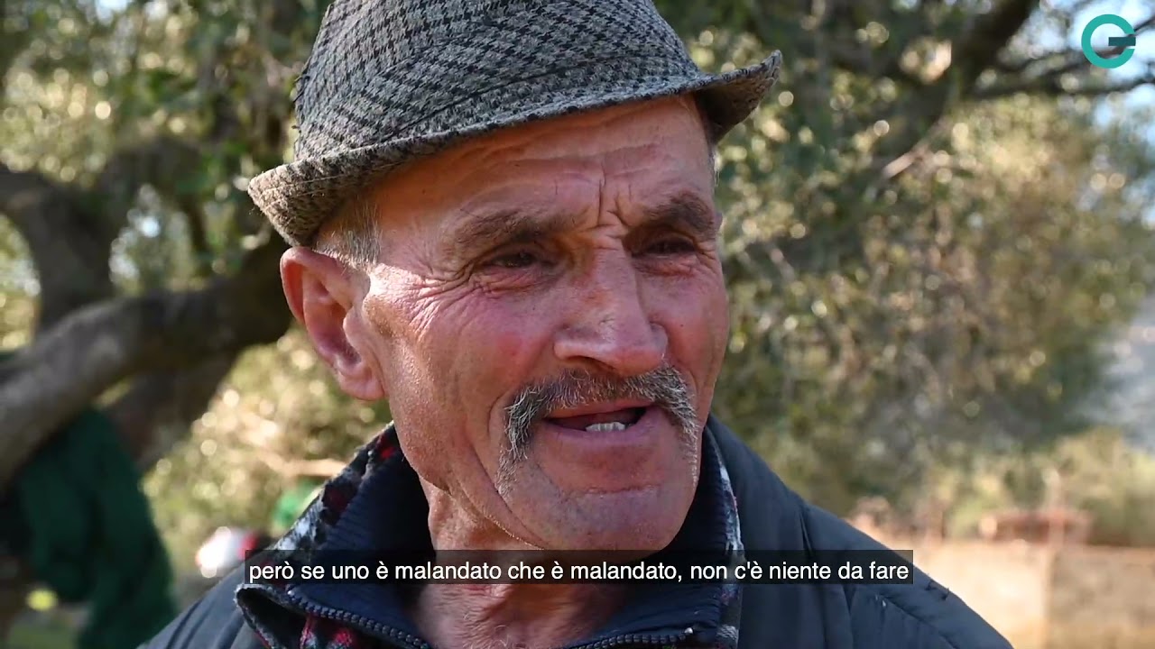 Luigi, nel Cilento il pastore che non conosce il covid