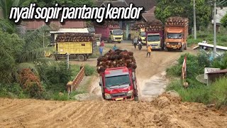 Pantang kendor, nyali sopir truk sawit menaklukkan tanjakan licin