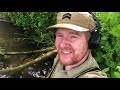 THIS is why you detect under trees!: Metal Detecting UK #159
