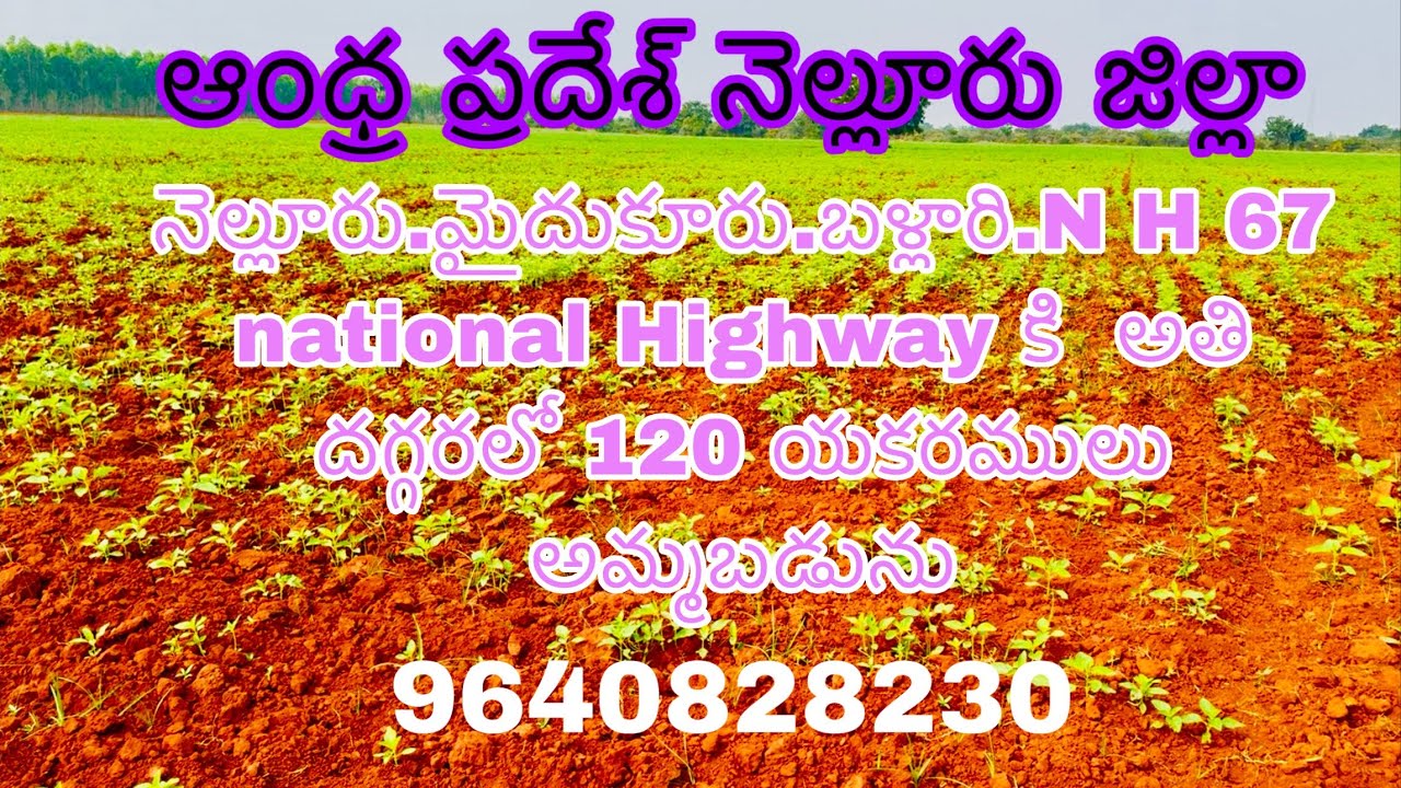 120 యకరములు వ్యవసాయ భూమి అమ్మబడును 9652606027